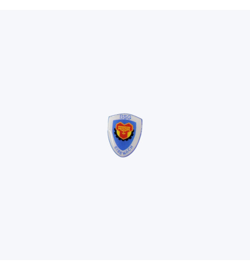 ThSV Eisenach Pin DRUCK BSG