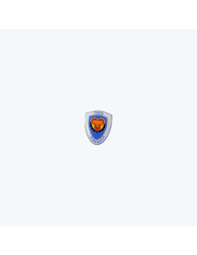 ThSV Eisenach Pin DRUCK BSG